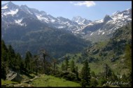 Cliquer pour agrandir