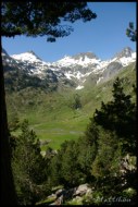 Cliquer pour agrandir