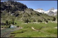 Cliquer pour agrandir