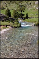 Cliquer pour agrandir