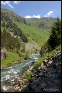 Cliquer pour agrandir