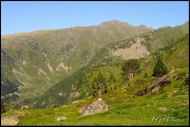 Cliquer pour agrandir