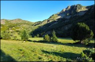 Cliquer pour agrandir