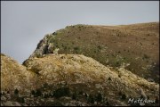 Cliquer pour agrandir
