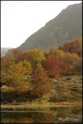 Cliquer pour agrandir