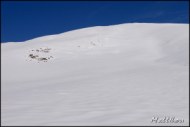 Cliquer pour agrandir