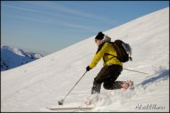 Cliquer pour agrandir