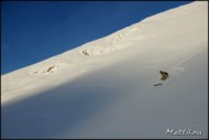 Cliquer pour agrandir