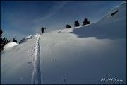 Cliquer pour agrandir