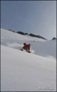Cliquer pour agrandir