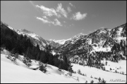 Cliquer pour agrandir