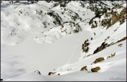 Cliquer pour agrandir