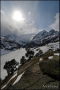 Cliquer pour agrandir