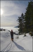 Cliquer pour agrandir