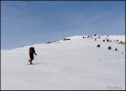 Cliquer pour agrandir