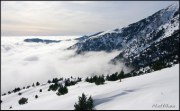 Cliquer pour agrandir