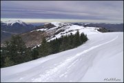 Cliquer pour agrandir