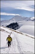 Cliquer pour agrandir