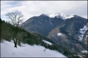 Cliquer pour agrandir
