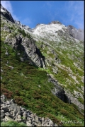 Cliquer pour agrandir