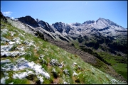 Cliquer pour agrandir
