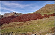Cliquer pour agrandir