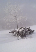 DSC01304+.jpg