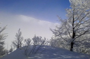 DSC01313+.jpg