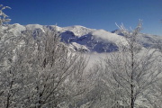 DSC01321+.jpg