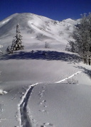 DSC01330+.jpg