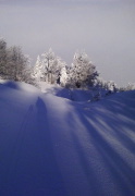 DSC01336+.jpg
