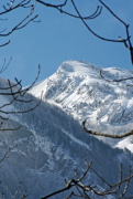 IMGP6344+.jpg