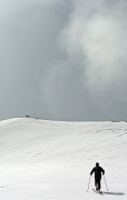 IMGP6538+.jpg