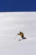 IMGP6587+.jpg