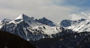 IMGP6594+.jpg
