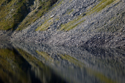 P1010518+.jpg