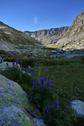 P1010687+.jpg