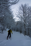 IMGP2288+.jpg