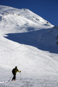 IMGP2335+.jpg
