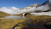 IMGP5716+.jpg