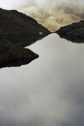IMGP5754+.jpg