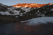 IMGP5876+.jpg
