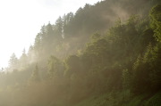 IMGP6000+.jpg