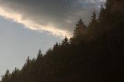 IMGP6003+.jpg