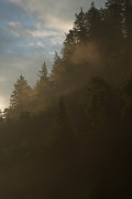 IMGP6004+.jpg