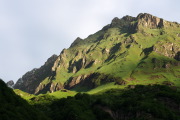 IMGP6010+.jpg