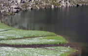 IMGP6073+.jpg