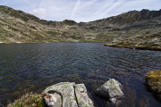 IMGP6198+.jpg
