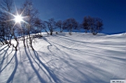IMGP2716+.JPG