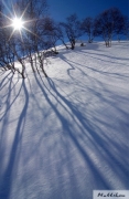 IMGP2718+.JPG